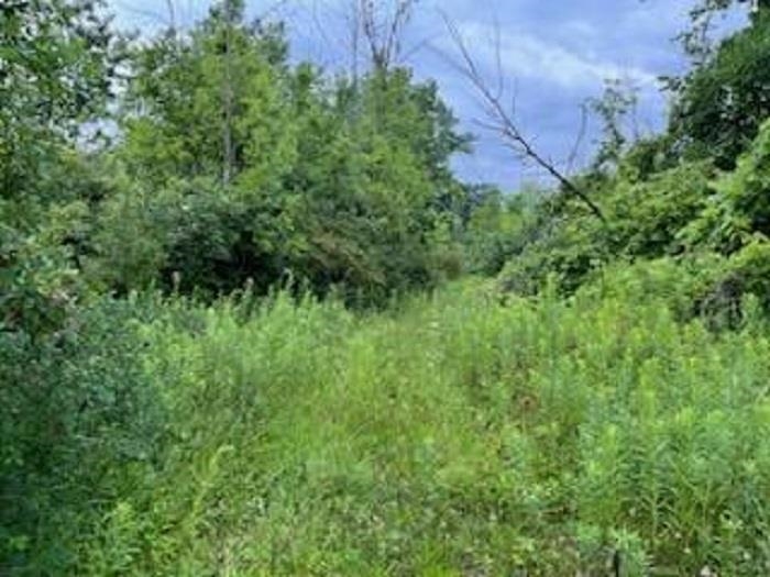 N/a North Tonkey Road Turner, MI 48765 - Photo 2 of 6