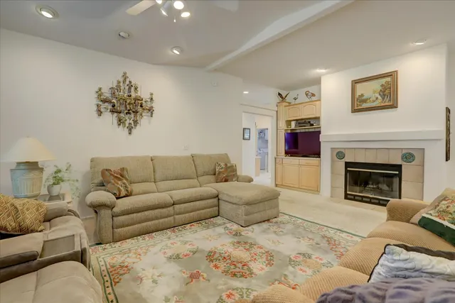 a living room with furniture and a fireplace