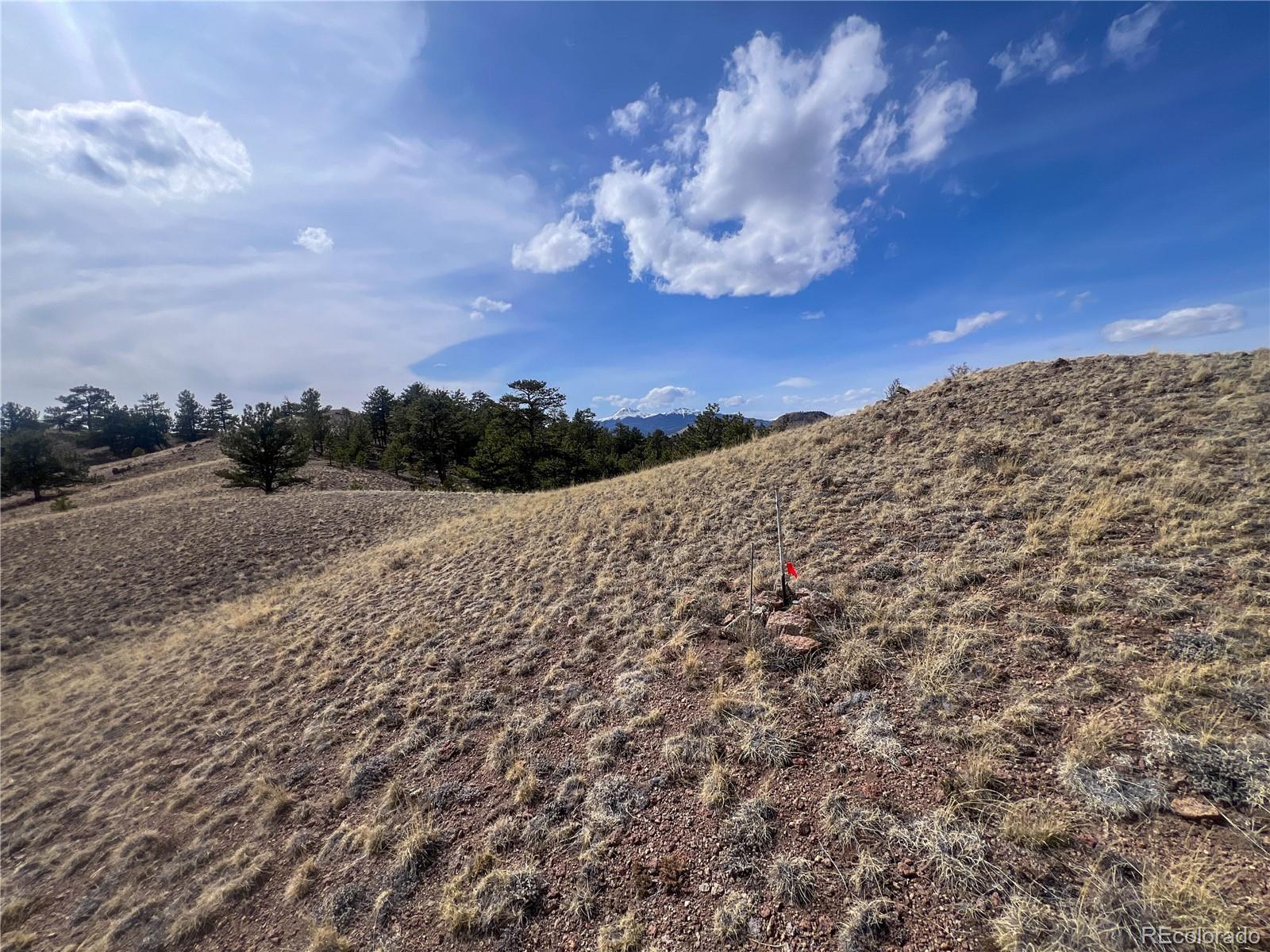 813 Corral Road Hartsel, CO 80449 - Photo 7 of 7 Gallery Image 7