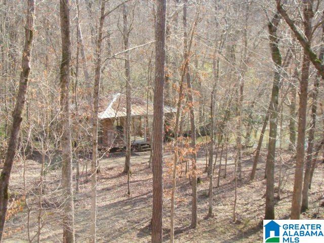 336 Verbon George Road Wellington, AL 36279 - Photo 11 of 25