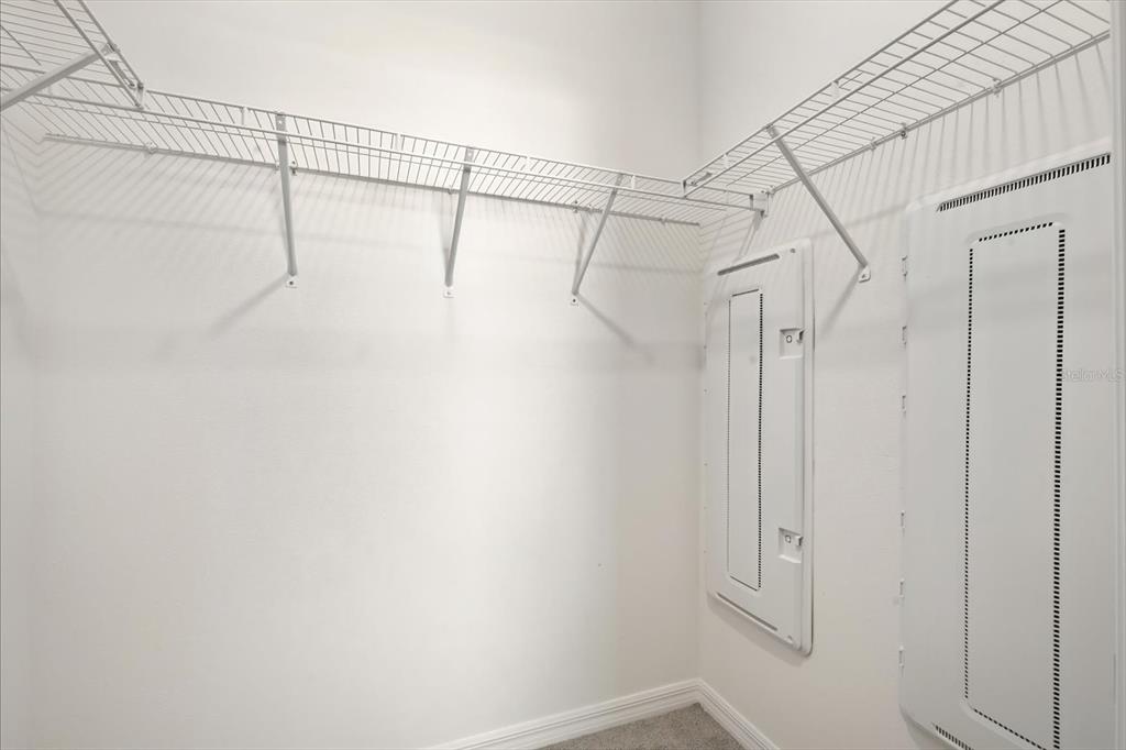 32335 Turtle Grace Loop Wesley Chapel, FL 33545 - Photo 21 of 38