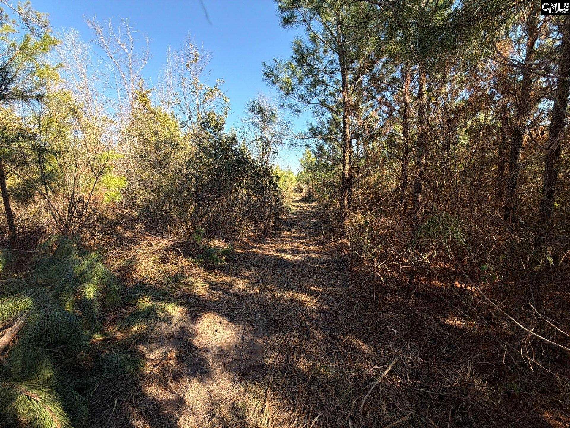 8 Brunson Teal Road, Unit BFF II 8 Patrick, SC 29584 - Photo 9 of 25