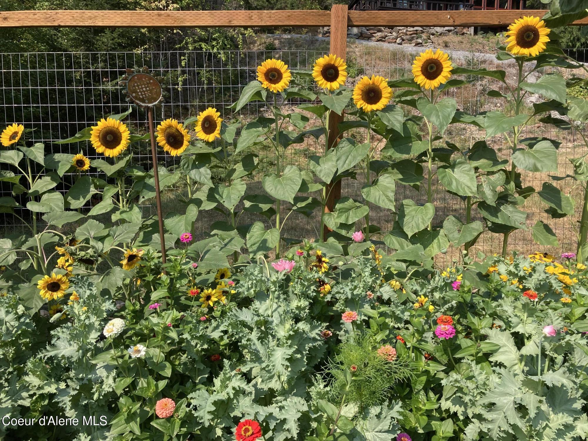 867 Midas Drive Sagle, ID 83860 - Photo 80 of 85 Garden