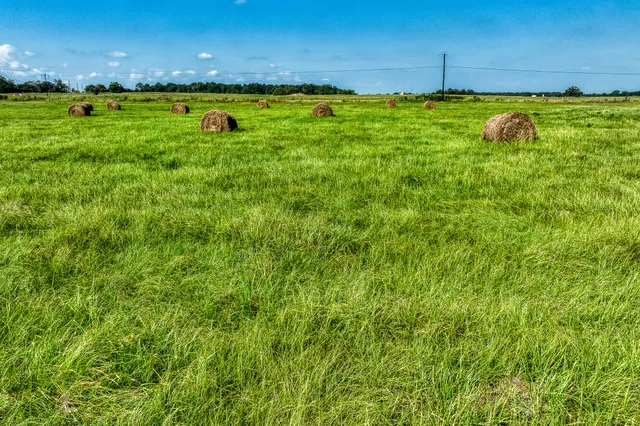 a view of an outdoor space and a yard