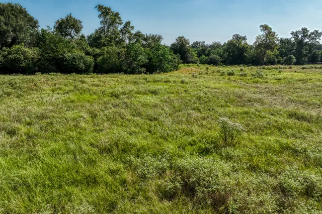 a view of a yard with an outdoor space
