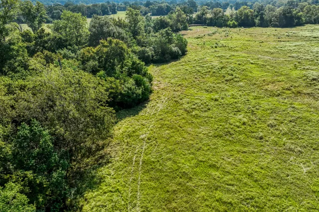 a view of a big yard with green space