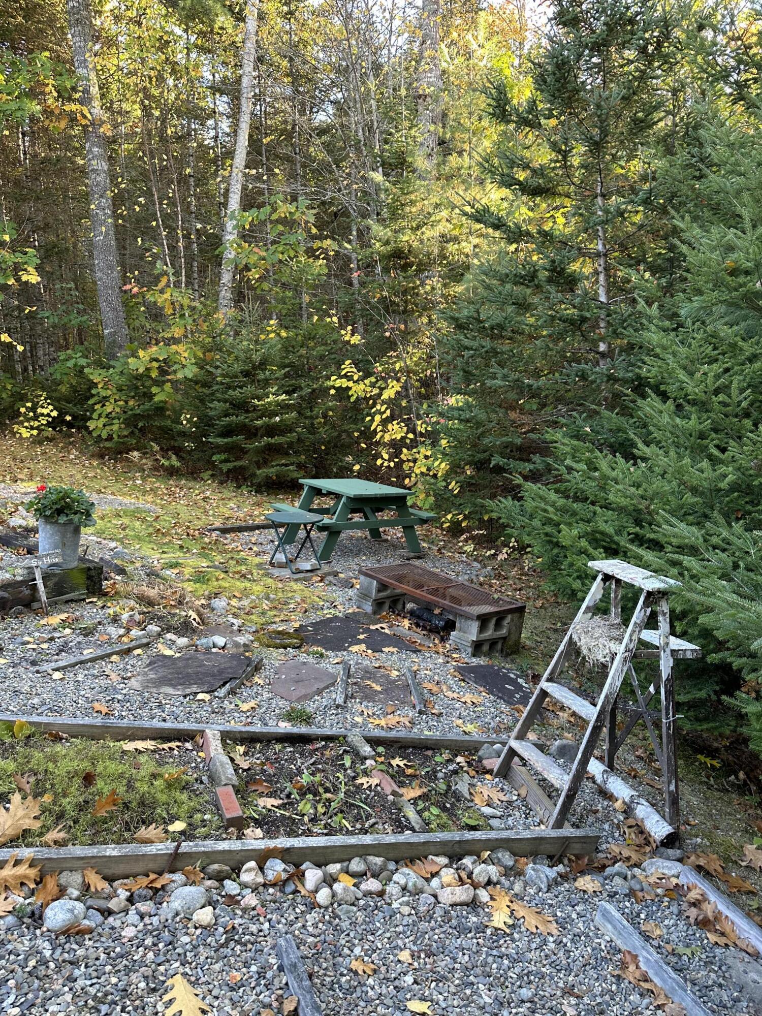 602 Spragues Falls Road Cherryfield, ME 04622 - Photo 27 of 52 IMG_2976