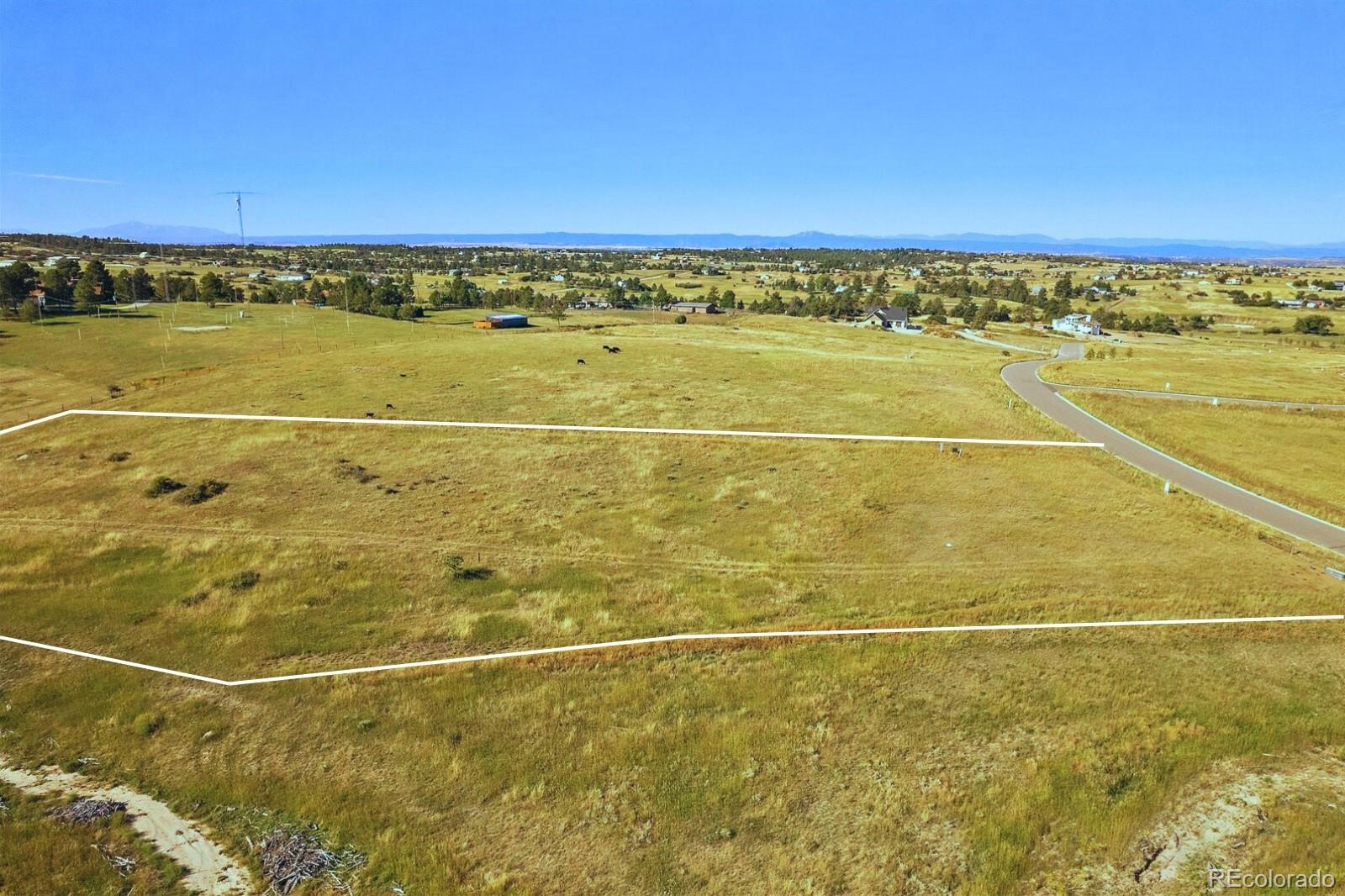 78 Evening Hunt Road Franktown, CO 80116 - Photo 4 of 6