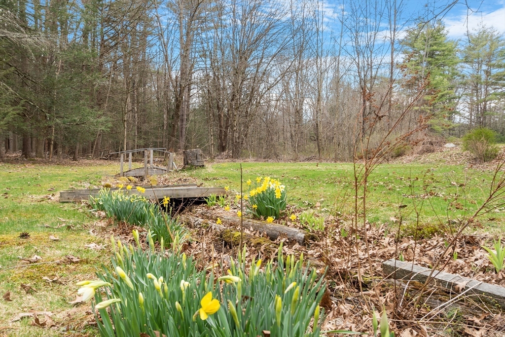 613 Petersham Road Athol, MA 01331 - Photo 7 of 41 a view of a garden with a bench