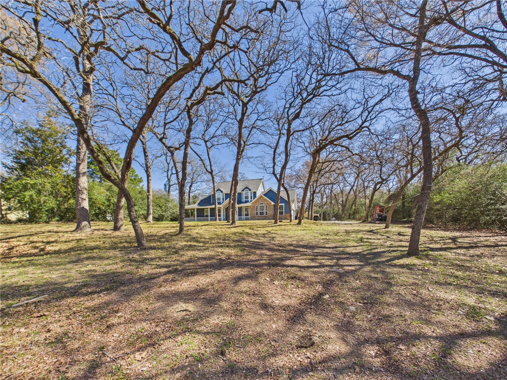 10645 C Hoppess Road Franklin, TX 77856 - Photo 5 of 50 a view of dirt yard with large trees