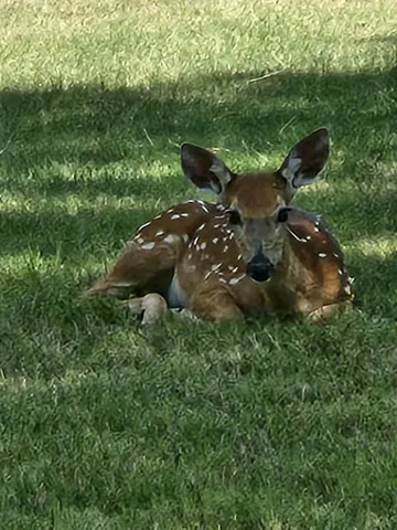 $525,000 | 1 Squaw Lane, Ransom Canyon, TX 79366