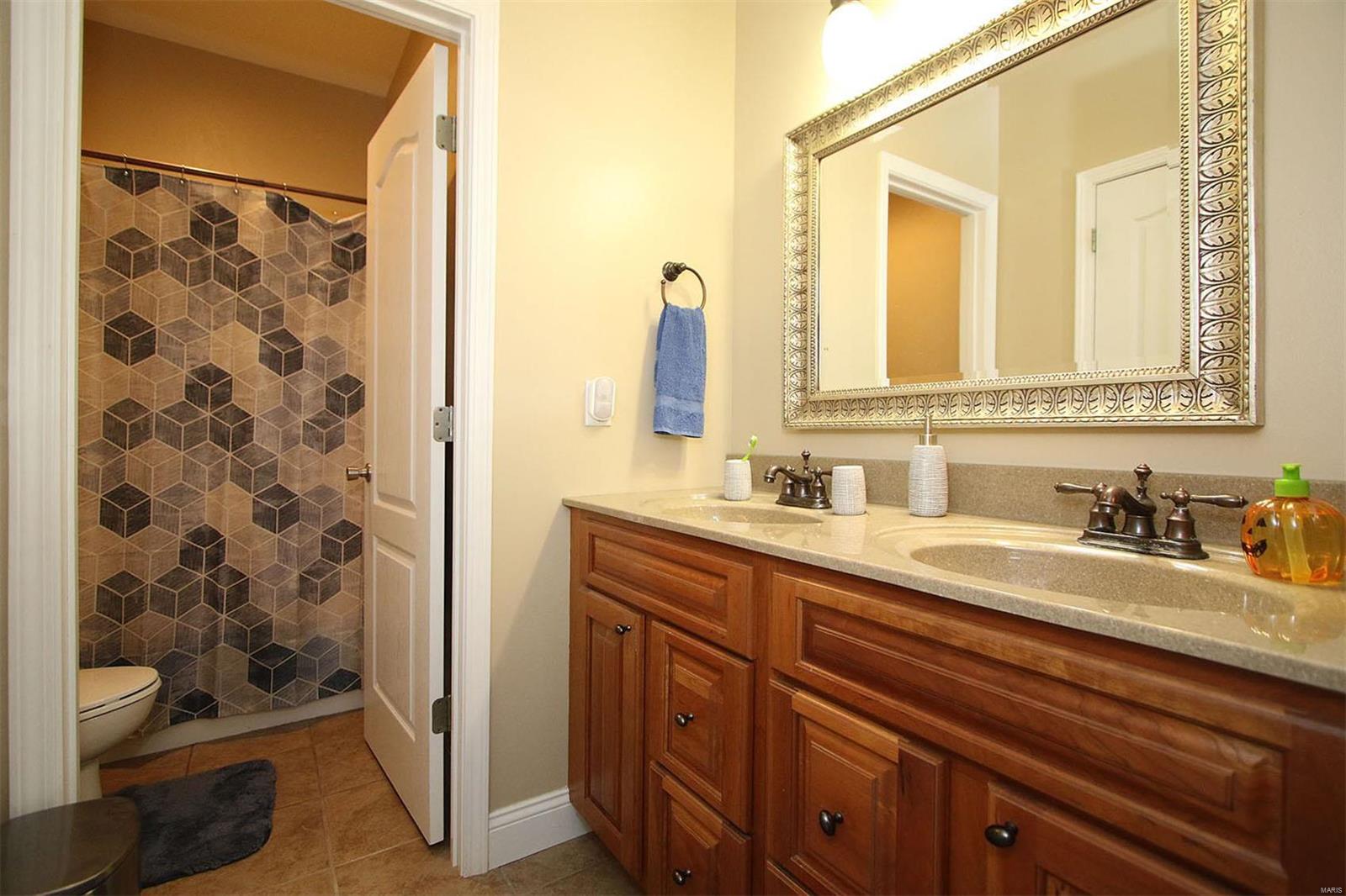 2482 Becker Road Highland, IL 62249 - Photo 33 of 71