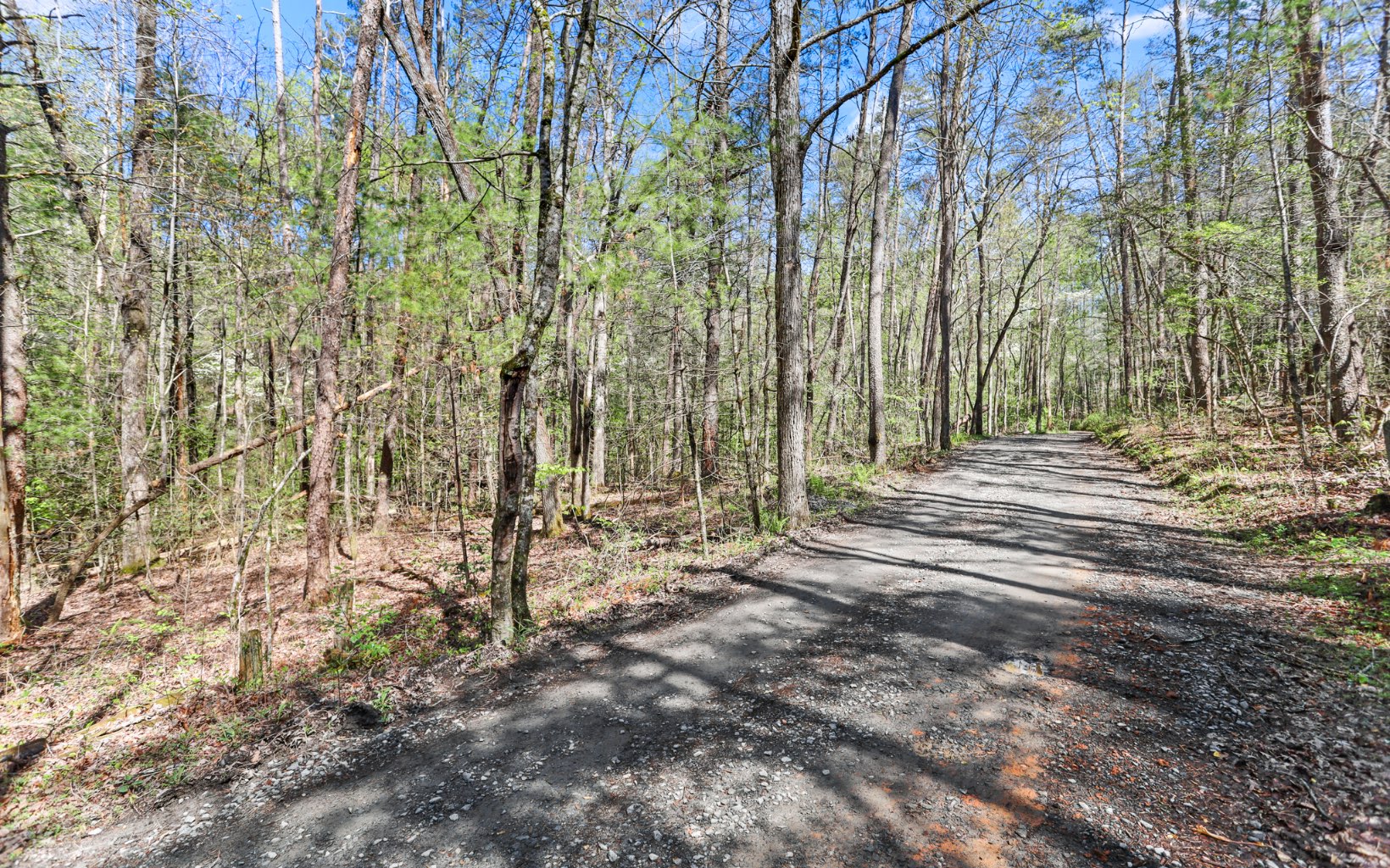 Hurley Lane Blue Ridge, GA 30513 - Photo 10 of 13 Additional View