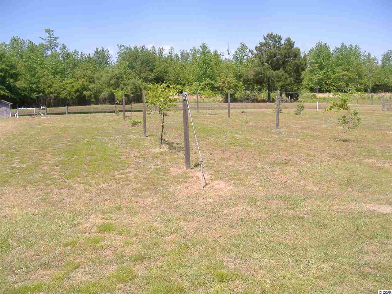 1609 M W Stroud Road Nichols, SC 29581 - Photo 18 of 21 Gallery Image 18
