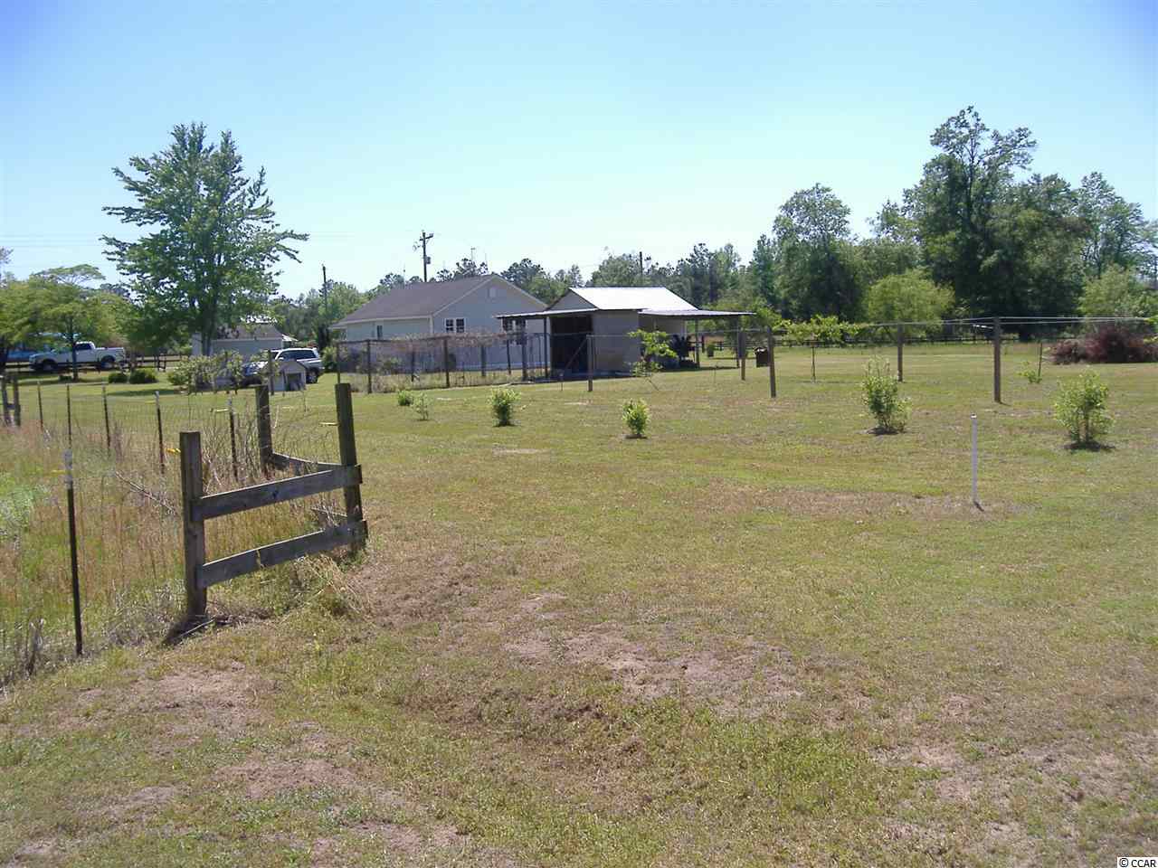 1609 M W Stroud Road Nichols, SC 29581 - Photo 19 of 21 Gallery Image 19
