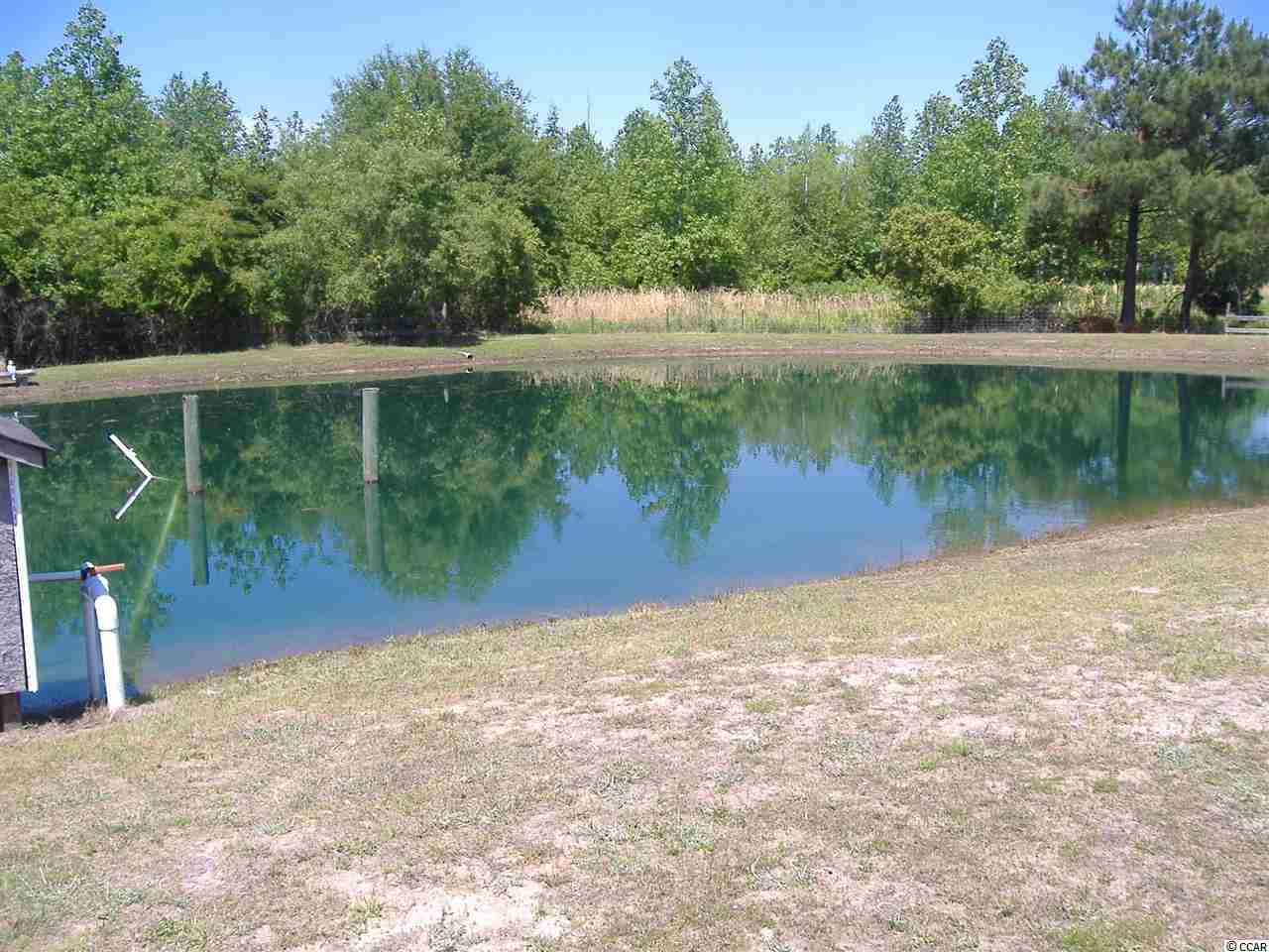 1609 M W Stroud Road Nichols, SC 29581 - Photo 20 of 21 Gallery Image 20