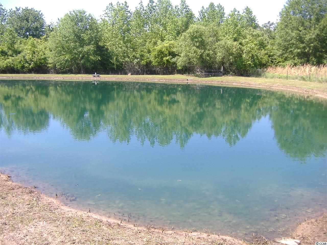 1609 M W Stroud Road Nichols, SC 29581 - Photo 21 of 21 Gallery Image 21