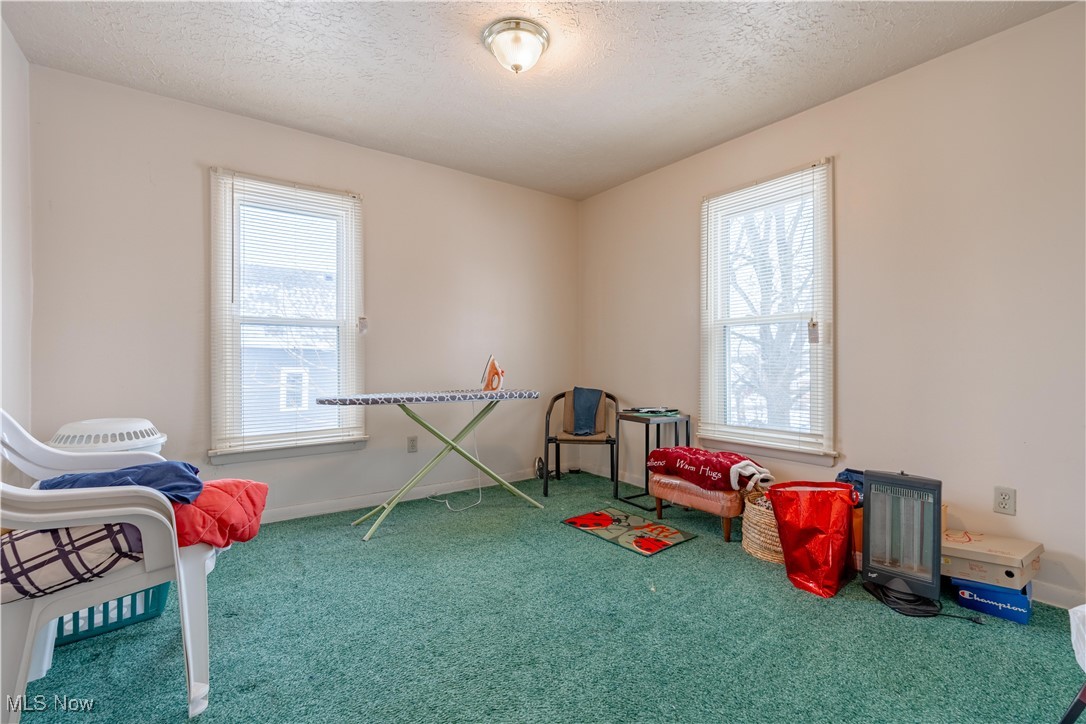 900 4th Street Southwest Canton, OH 44707 - Photo 22 of 31 Rec room featuring a textured ceiling, carpet, and plenty of natural light