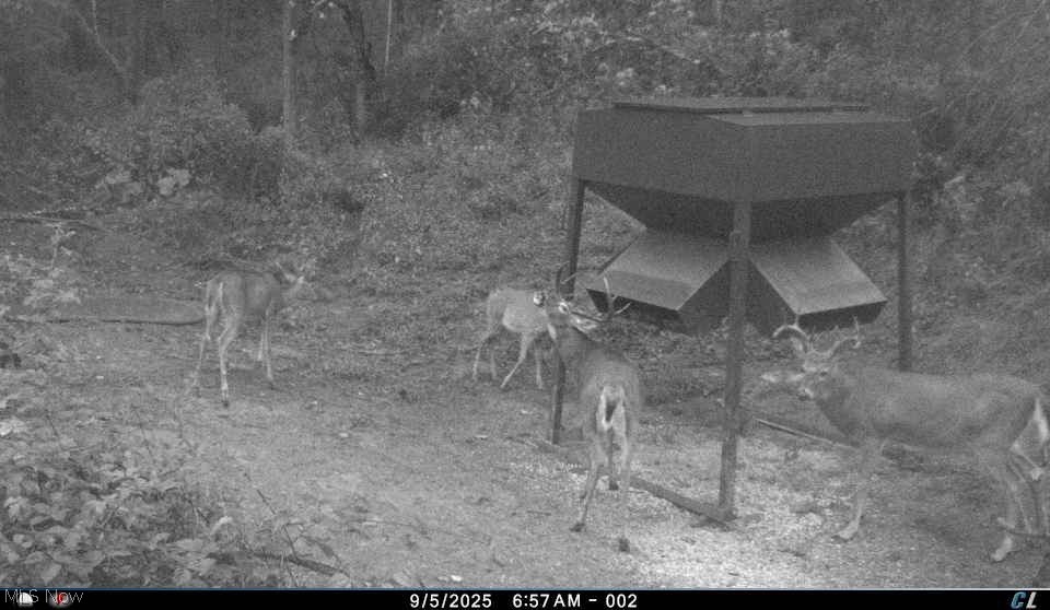 Kinnen Road Caldwell, OH 43724 - Photo 7 of 37
