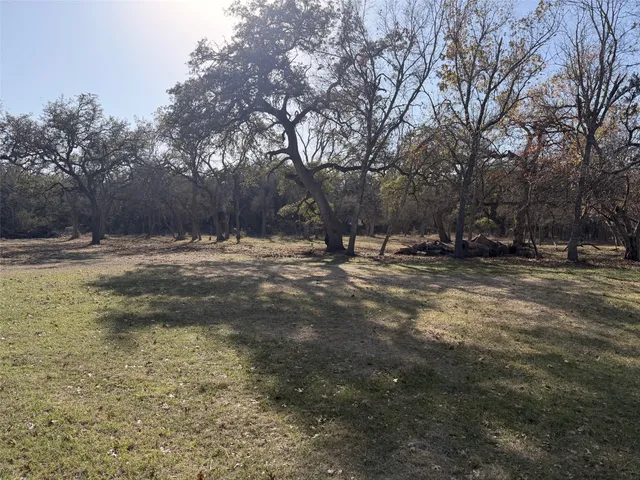 a view of dirt yard with a large tree