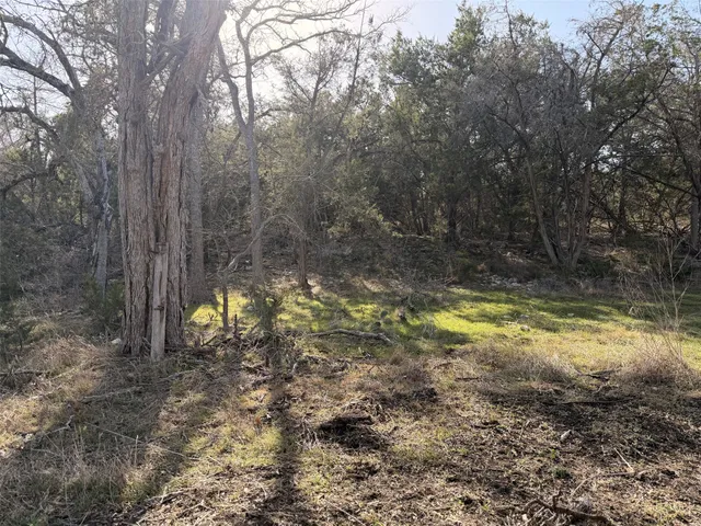 a view of swimming pool with a yard