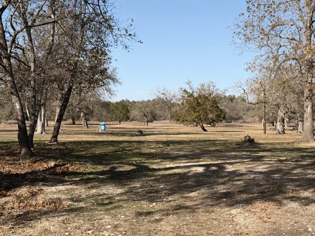 a view of dirt yard and a large trees