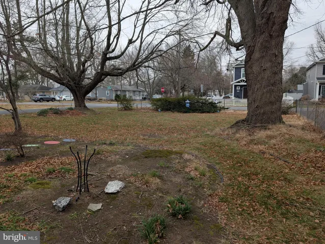 a view of yard with trees