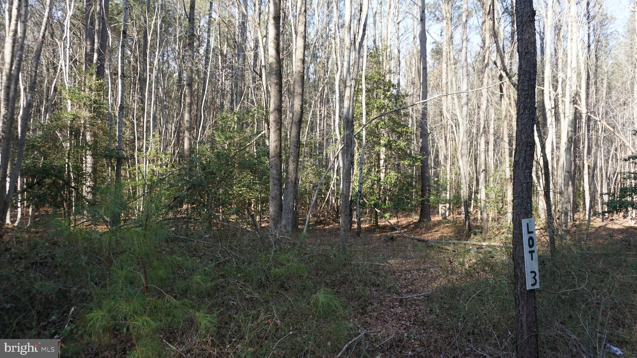 Shiloh Church Road Laurel, DE 19956 - Photo 2 of 8