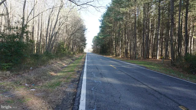 $199,900 | Shiloh Church Road, Laurel, DE 19956