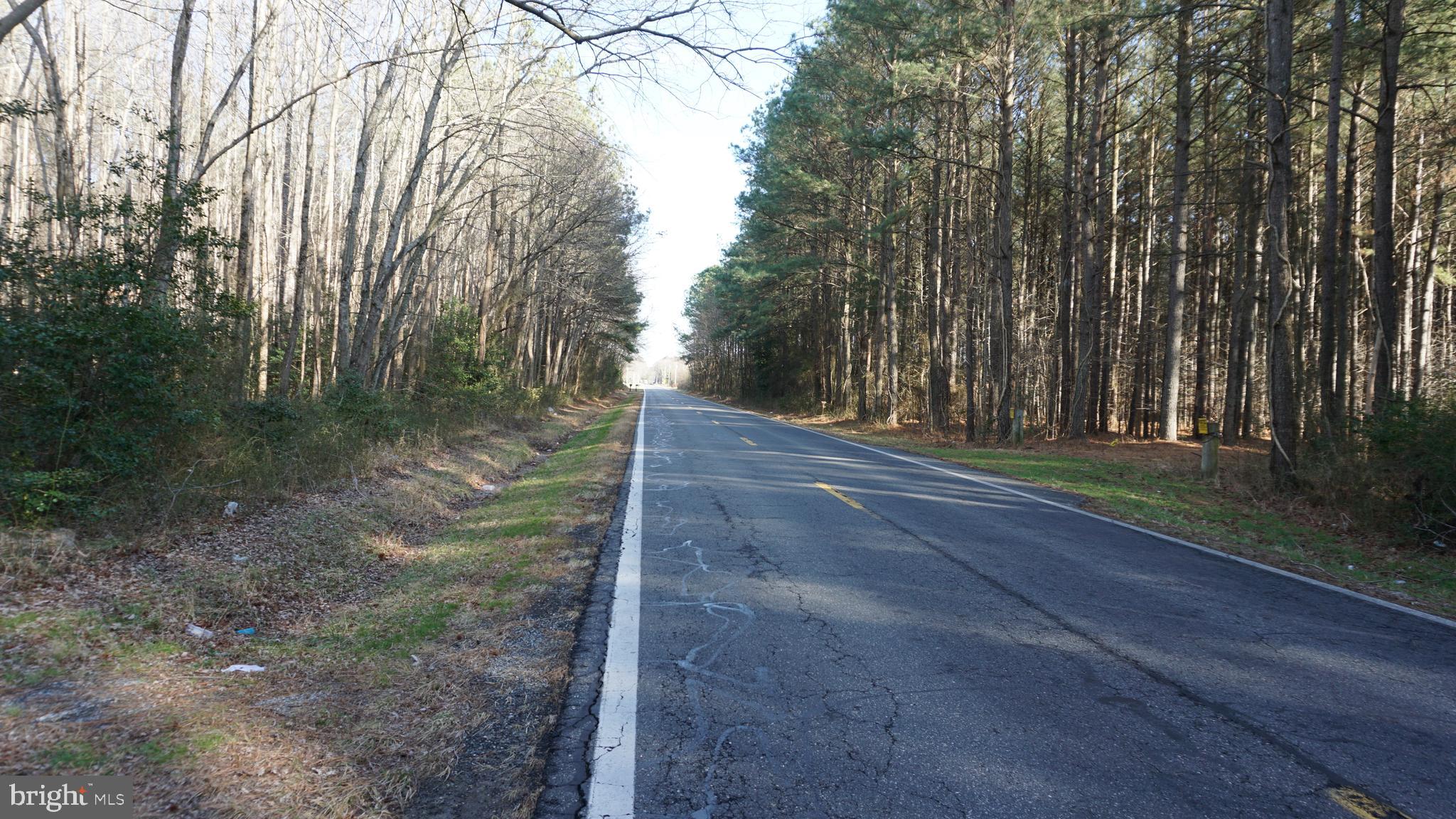 Shiloh Church Road Laurel, DE 19956 - Photo 3 of 8