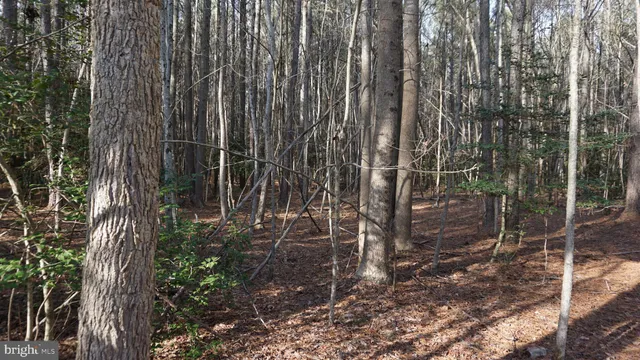 $199,900 | Shiloh Church Road, Laurel, DE 19956