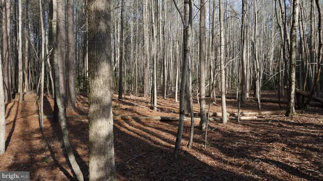 $199,900 | Shiloh Church Road, Laurel, DE 19956