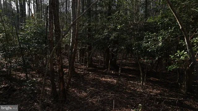 $199,900 | Shiloh Church Road, Laurel, DE 19956