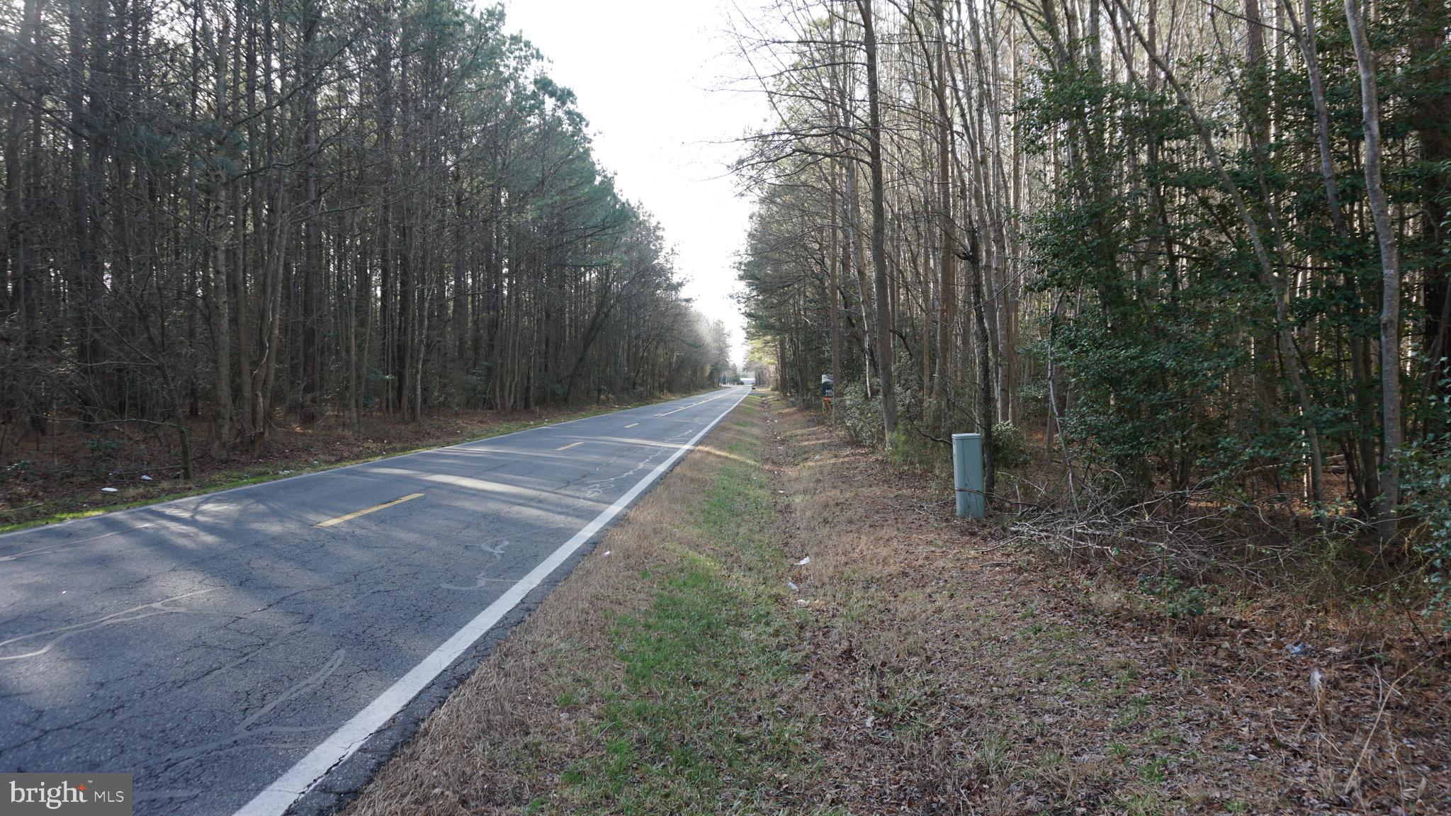 Shiloh Church Road Laurel, DE 19956 - Photo 7 of 8