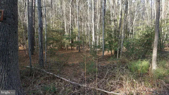 $199,900 | Shiloh Church Road, Laurel, DE 19956