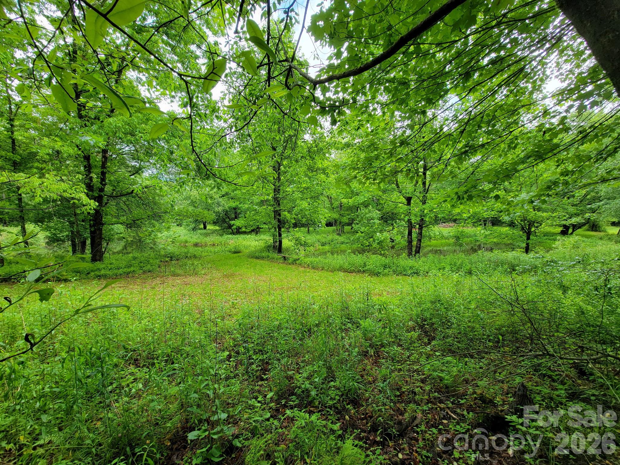 Tbd Sweetwater Rdg Road, Unit 1 Balsam Grove, NC 28708 - Photo 19 of 24 a view of outdoor space and yard
