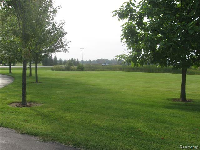 4721 Capac Road Capac, MI 48014 - Photo 54 of 76 19 (4).jpg