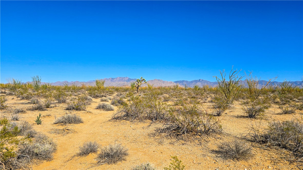 3040 Castle Butte Road Yucca, AZ 86438 - Photo 13 of 16 View