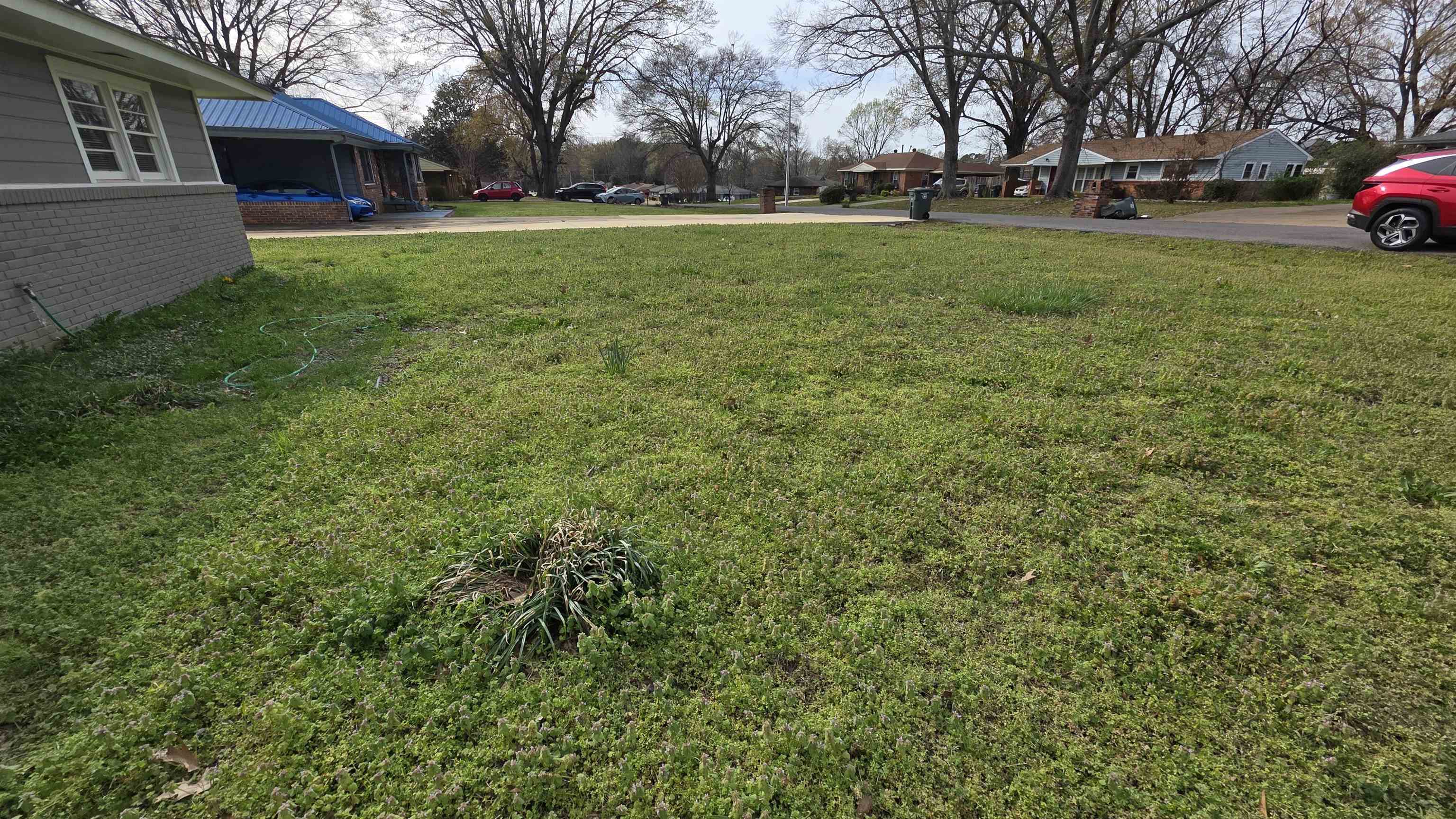 273 Clower Road Memphis, TN 38109 - Photo 2 of 11 a view of a park with many houses