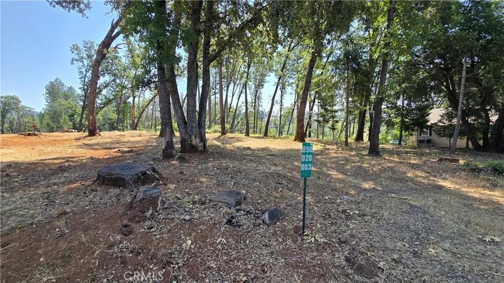 a view of a yard with a tree