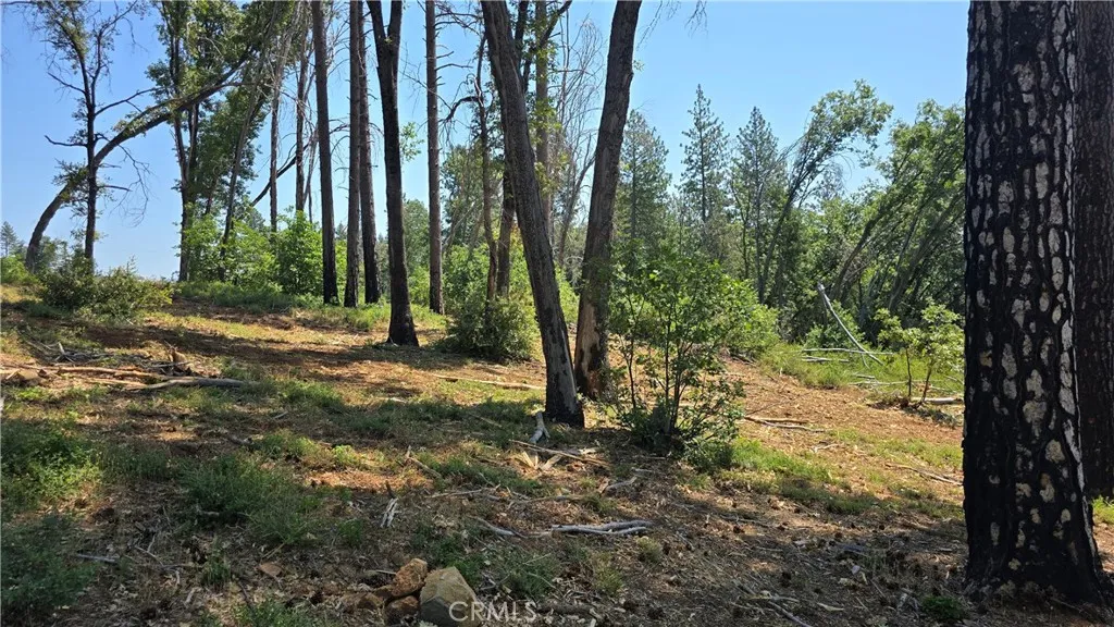 0 Adrian Magalia, CA 95954 - Photo 12 of 20 a view of backyard with green space