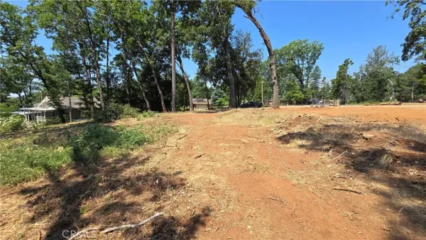 a view of large trees with a house