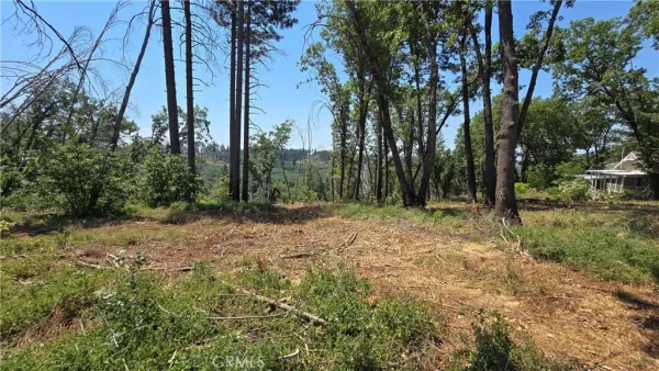 a view of outdoor space and trees