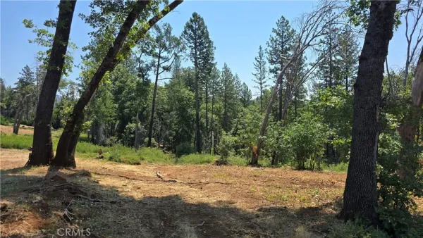 a view of outdoor space with trees