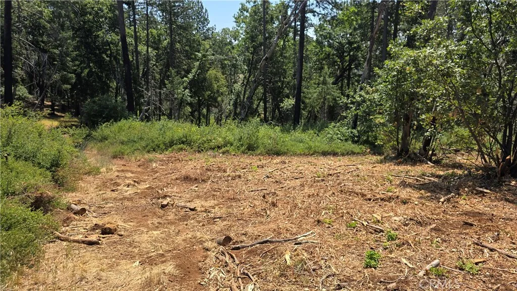 0 Adrian Magalia, CA 95954 - Photo 16 of 20 a view of backyard with green space