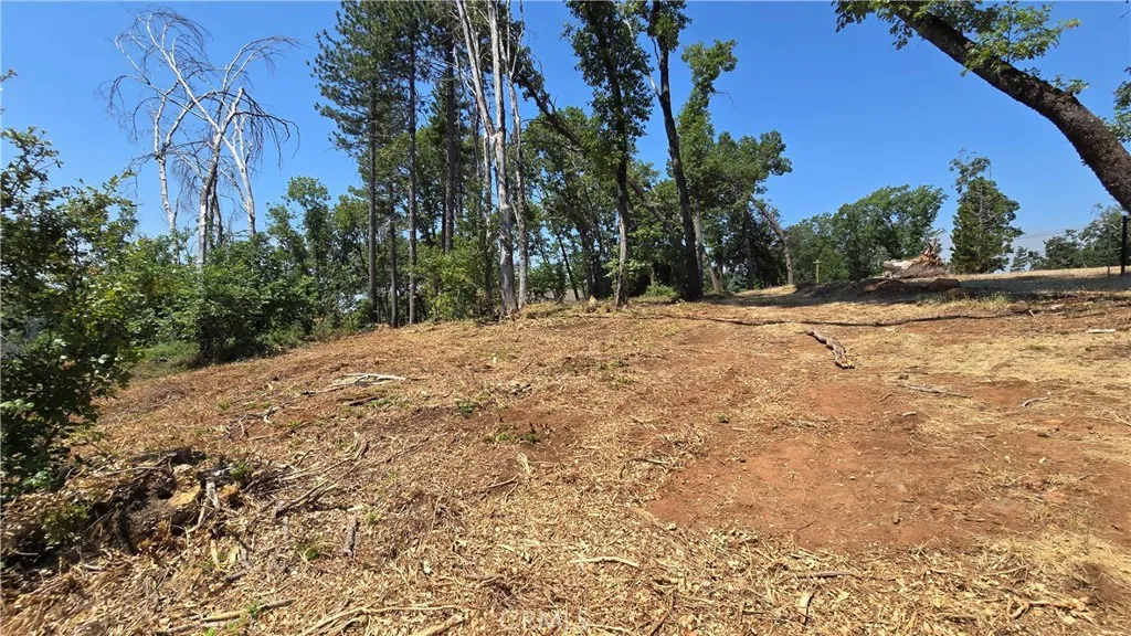 0 Adrian Magalia, CA 95954 - Photo 17 of 20 a backyard of a house with lots of green space