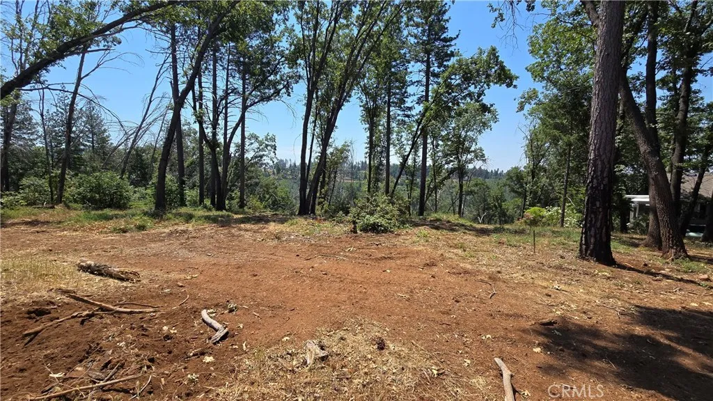 0 Adrian Magalia, CA 95954 - Photo 2 of 20 a view of outdoor space with trees