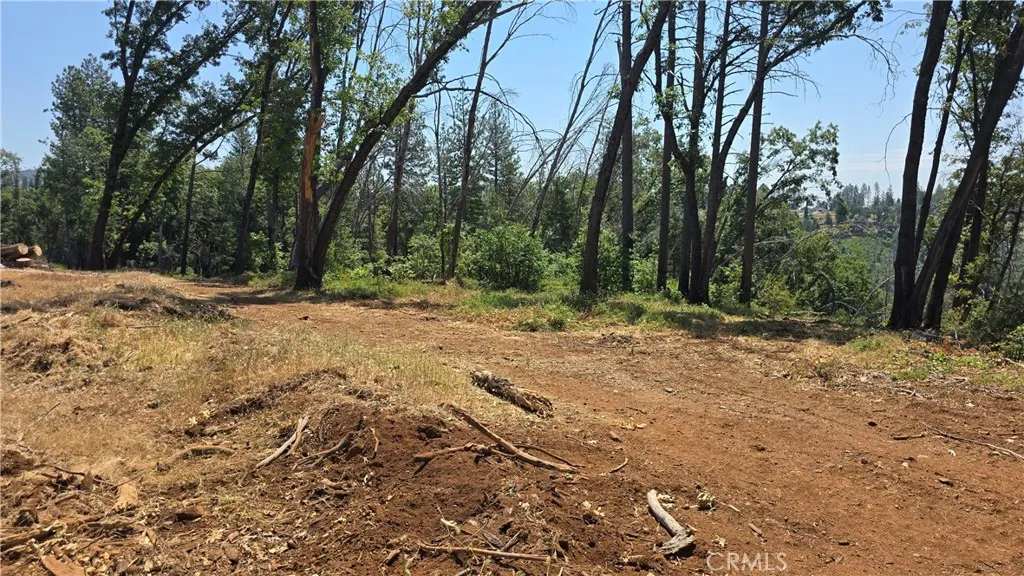 0 Adrian Magalia, CA 95954 - Photo 4 of 20 a fire hydrant in the middle of a field