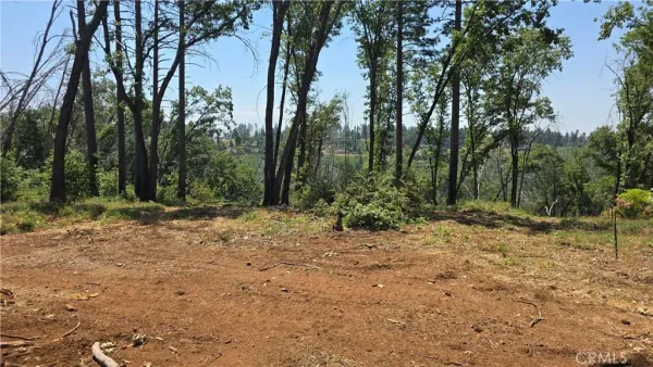 a view of outdoor space with trees
