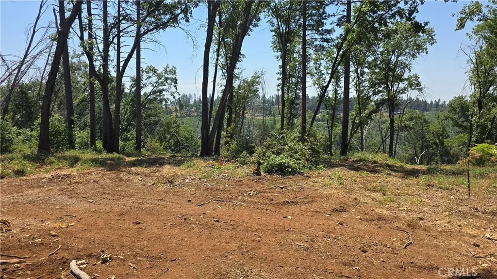 0 Adrian Magalia, CA 95954 - Photo 5 of 20 a view of outdoor space with trees